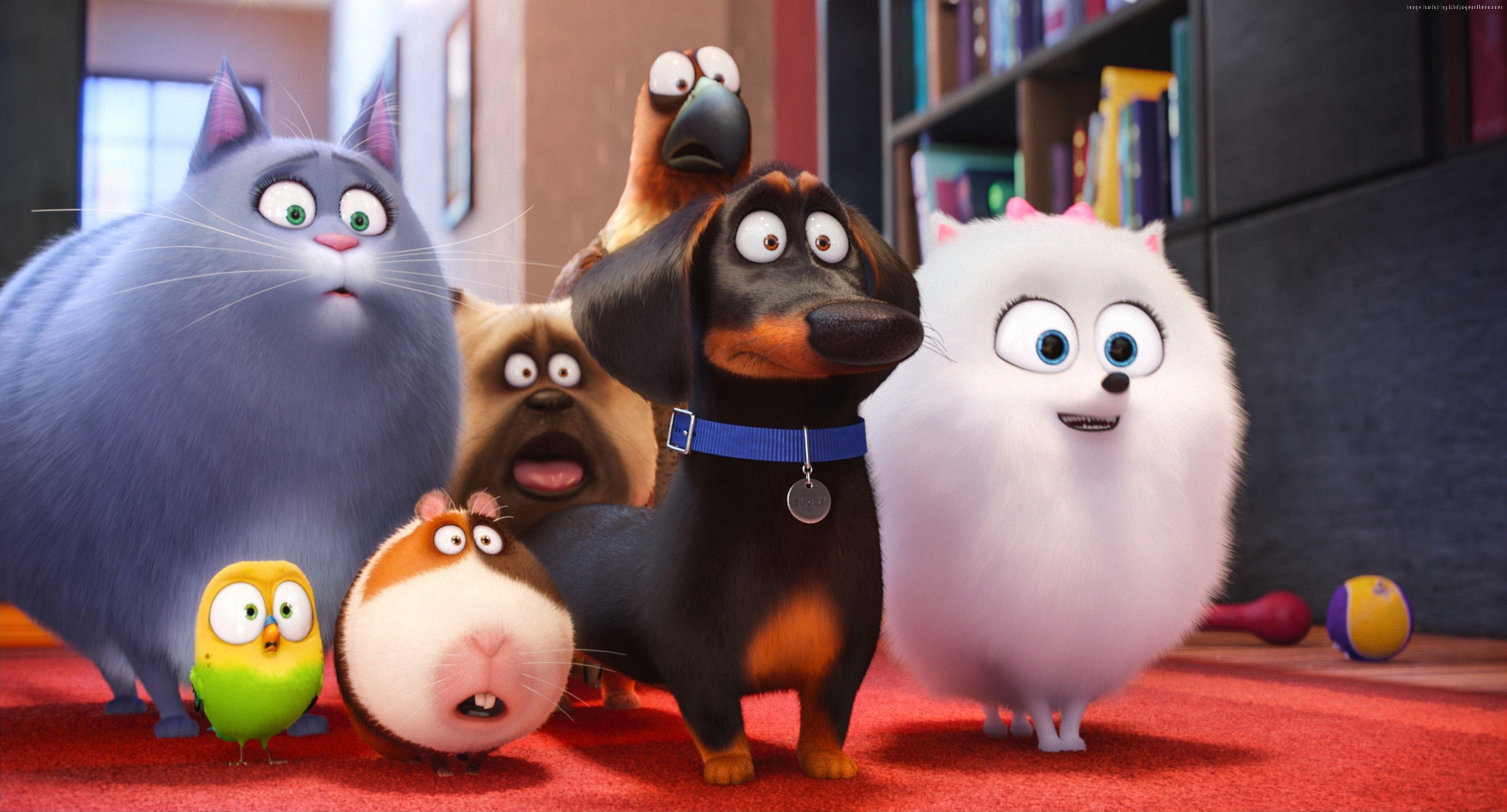 Secret Life Of Pets Background