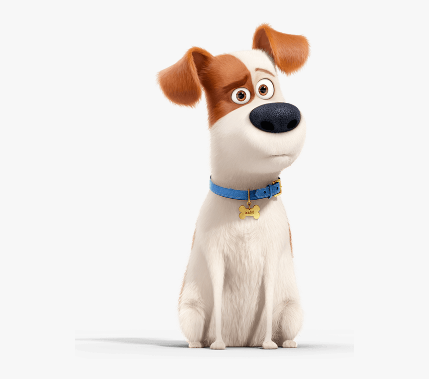 Secret Life Of Pets Background