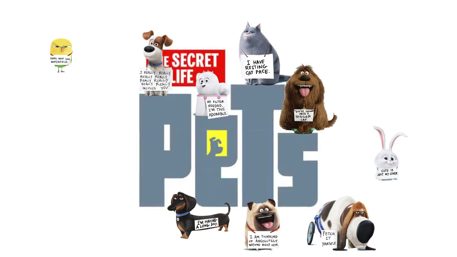 Secret Life Of Pets Background