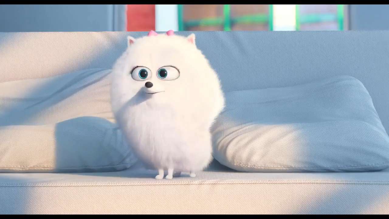 Secret Life Of Pets Background