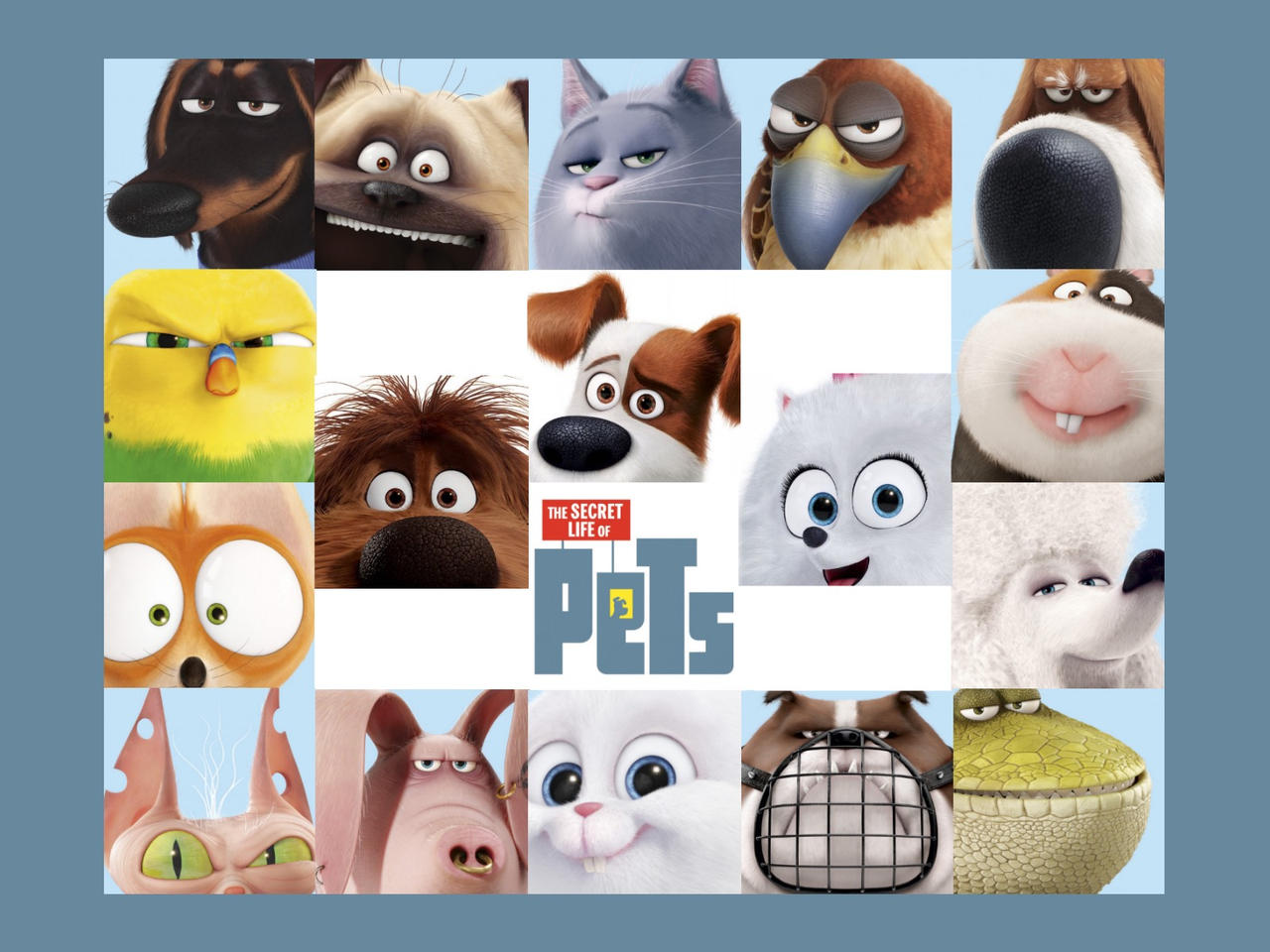 Secret Life Of Pets Background