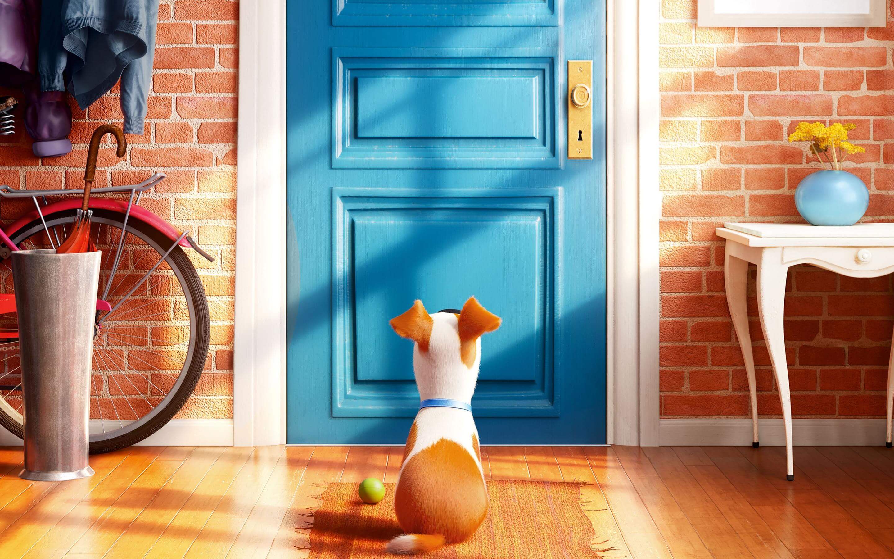 Secret Life Of Pets Background