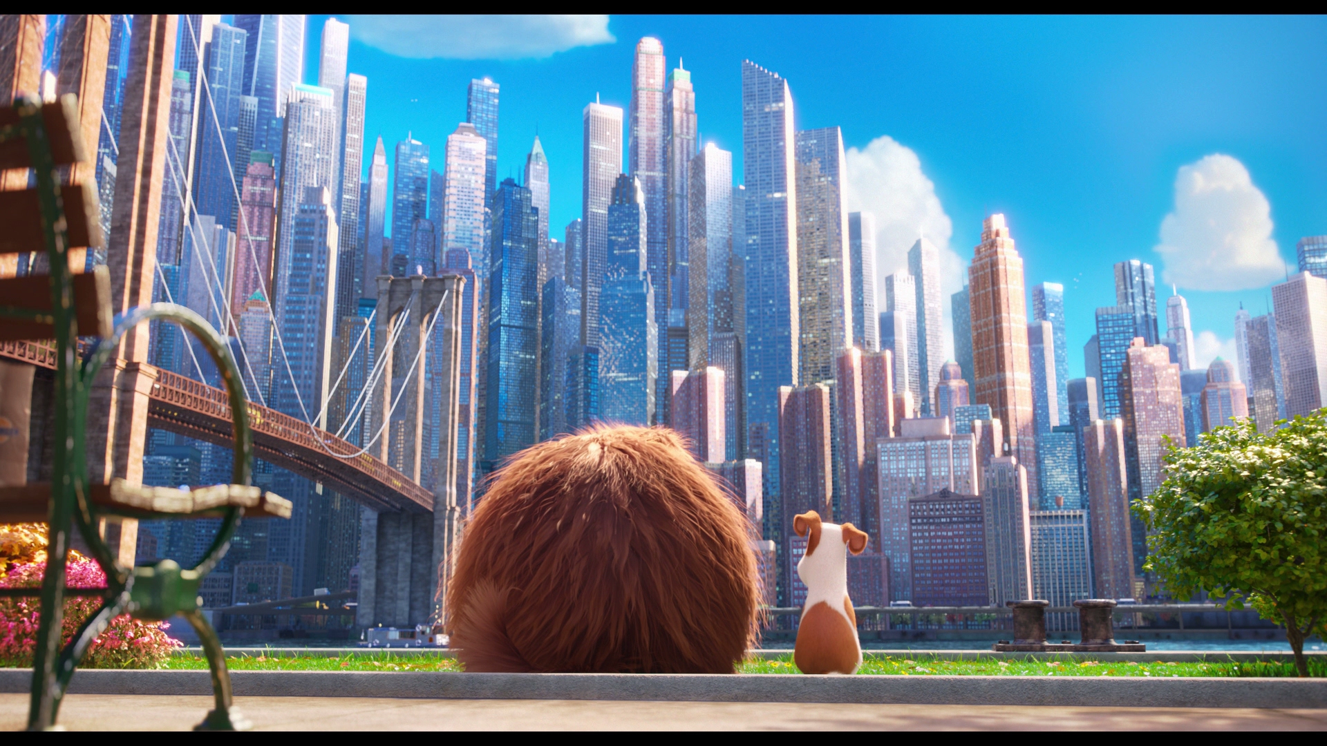 Secret Life Of Pets Background