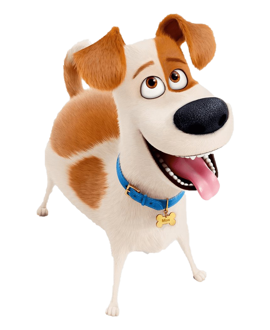 Secret Life Of Pets Background