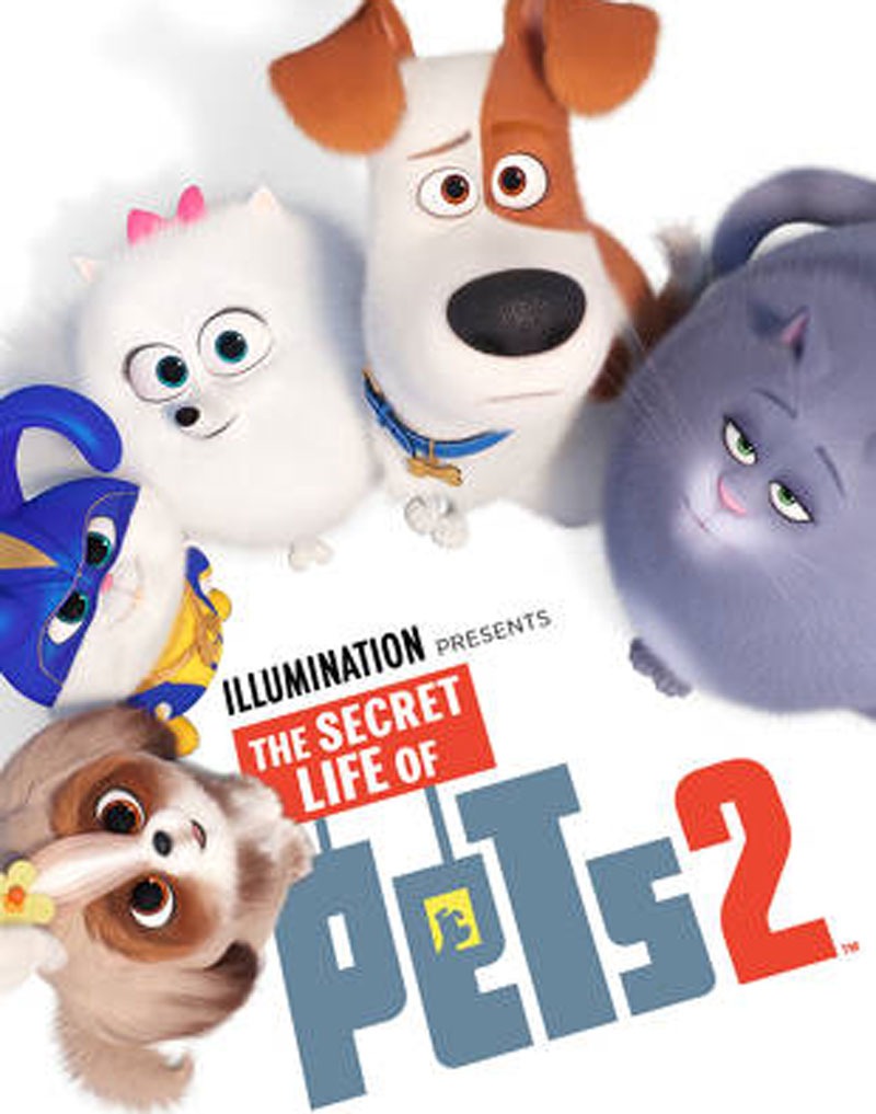 Secret Life Of Pets Background