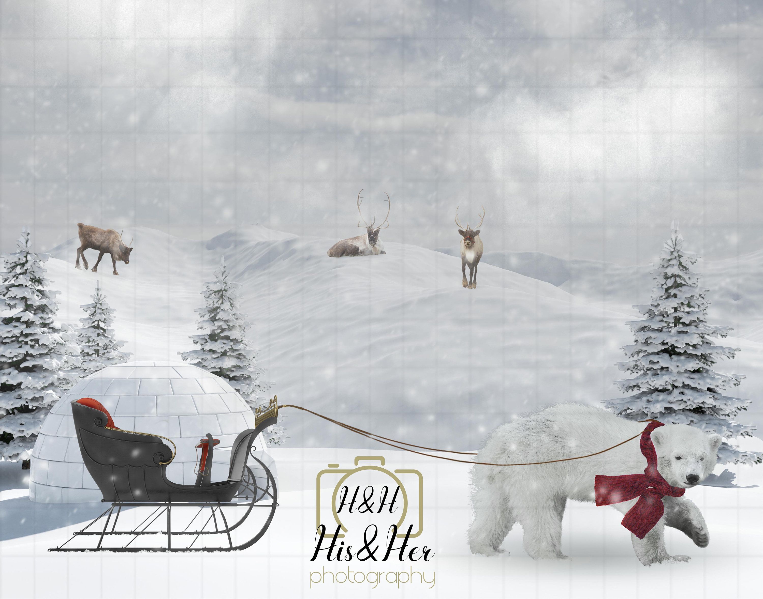 Sled Background