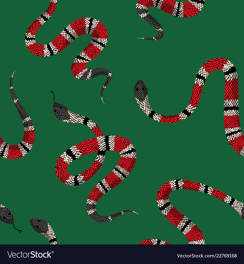 Snake Background