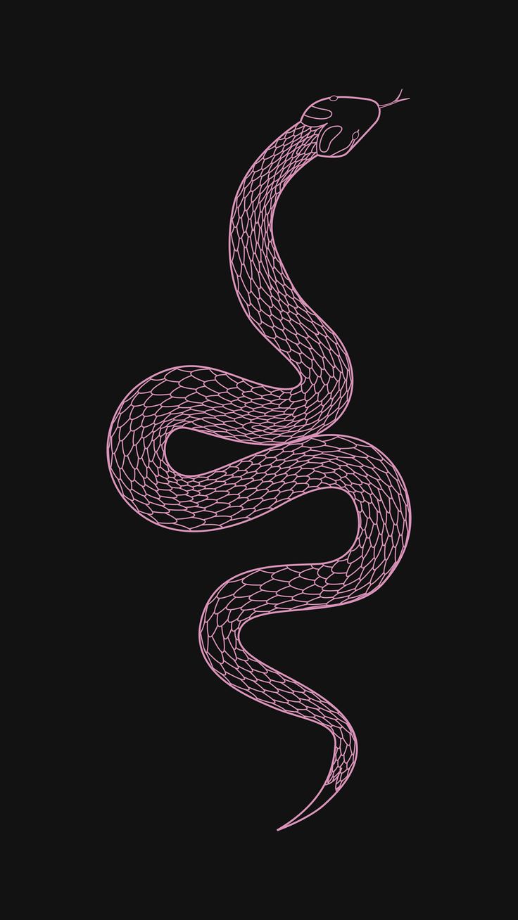 Snake Background