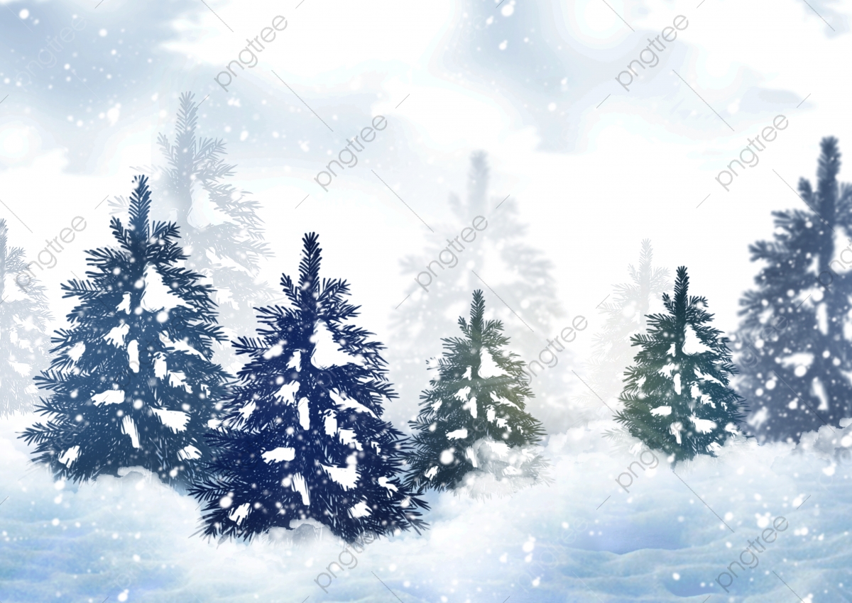 Snow Forest Background