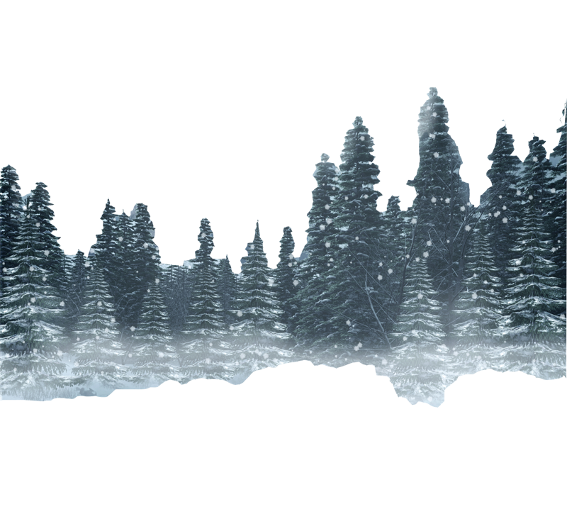 Snow Forest Background