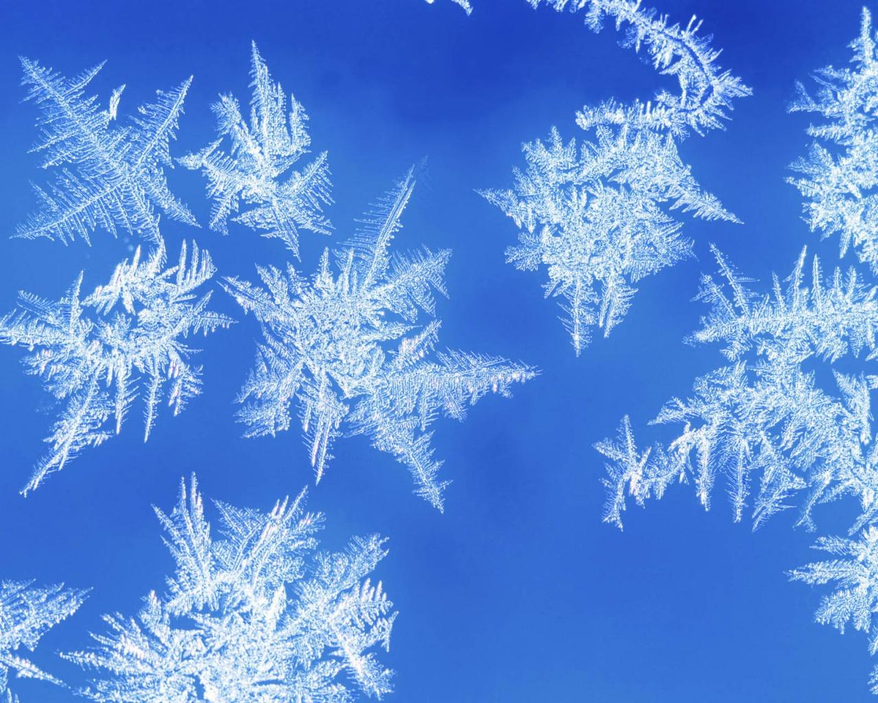 Snowflake Desktop Background