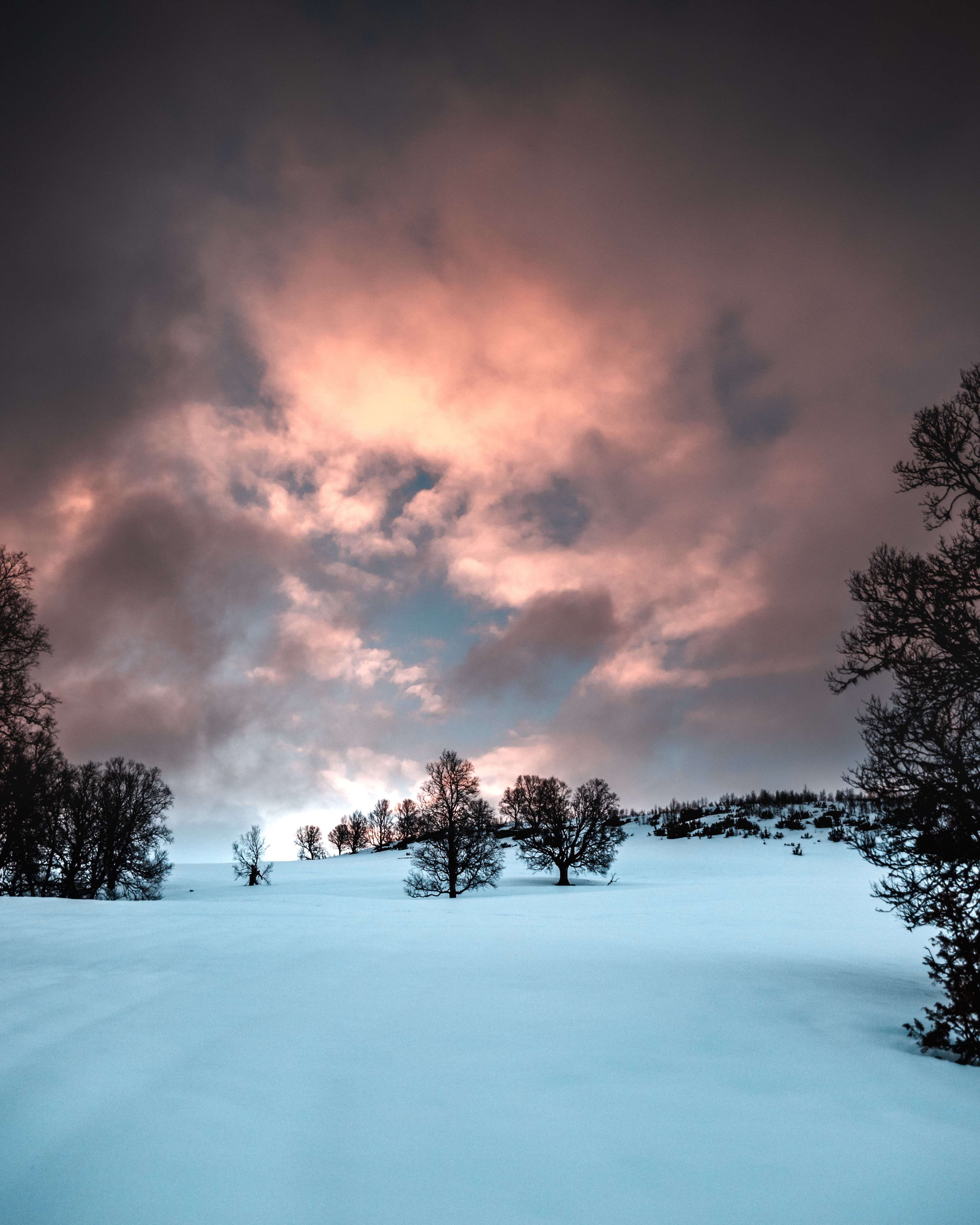 Snowy Background