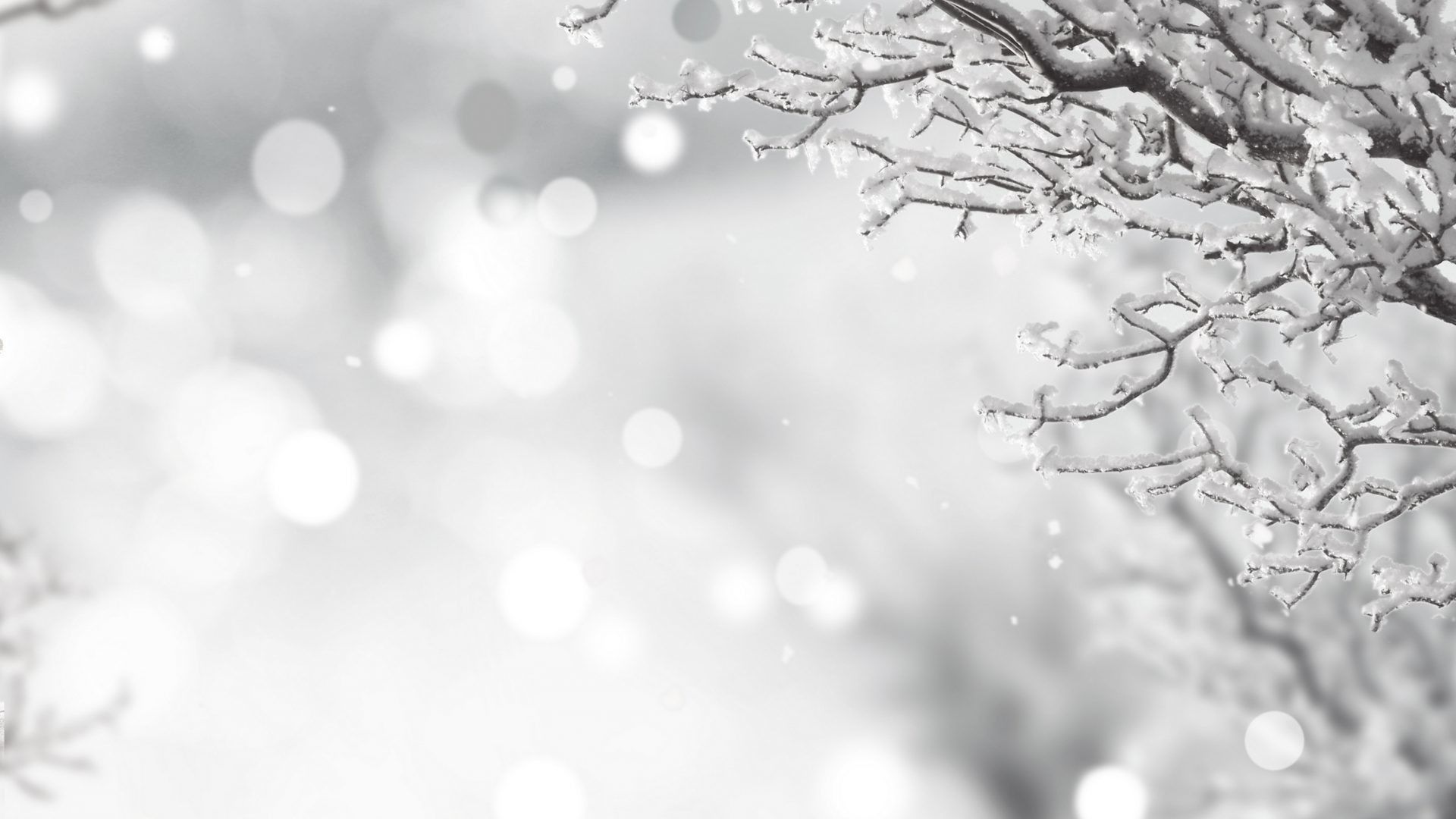 Snowy Christmas Backgrounds