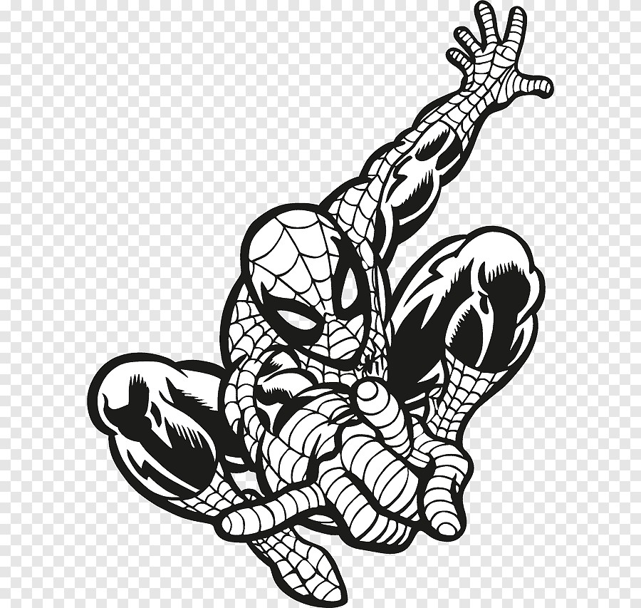 Spider Man White Background