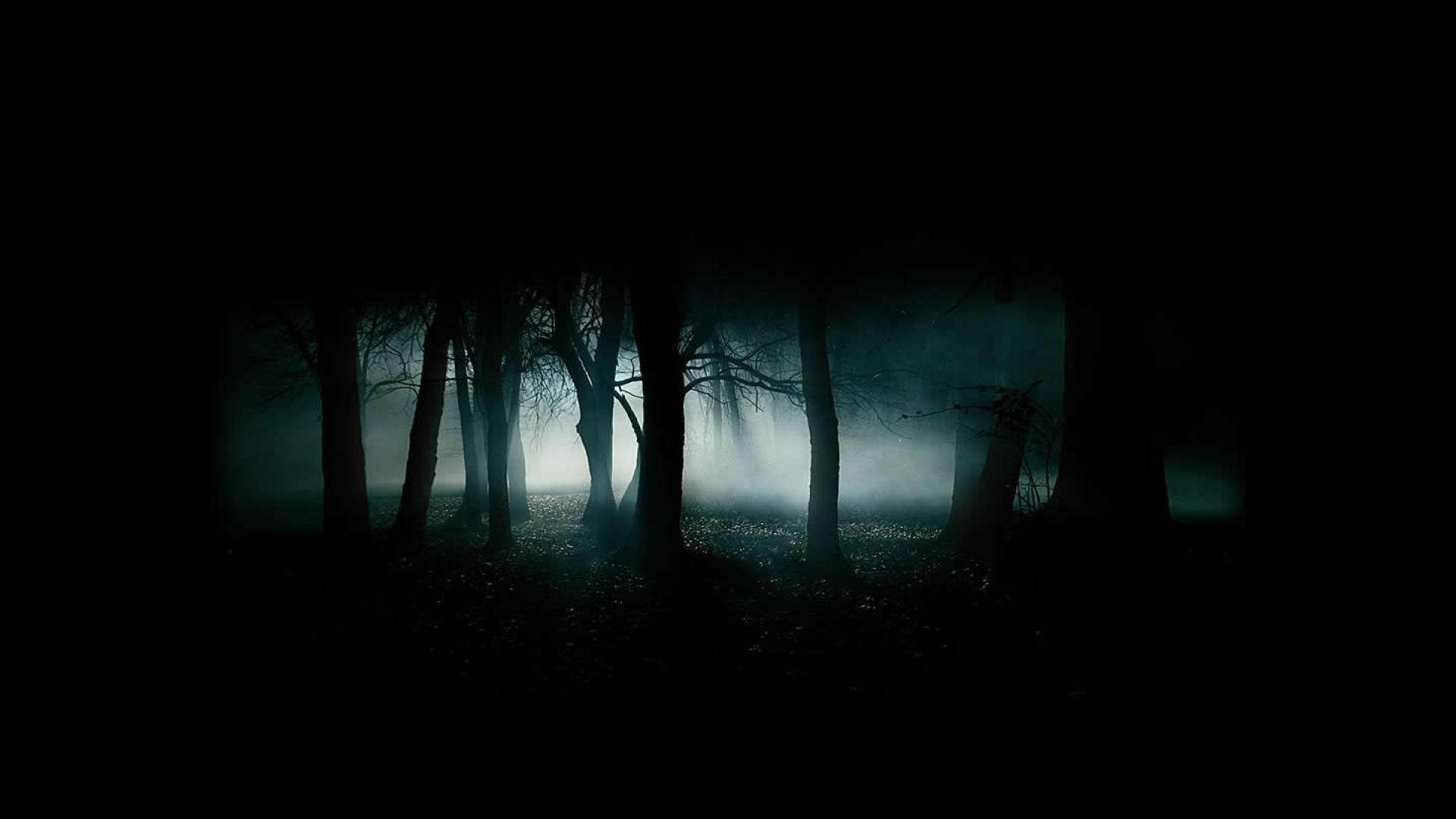 Spooky Forest Background