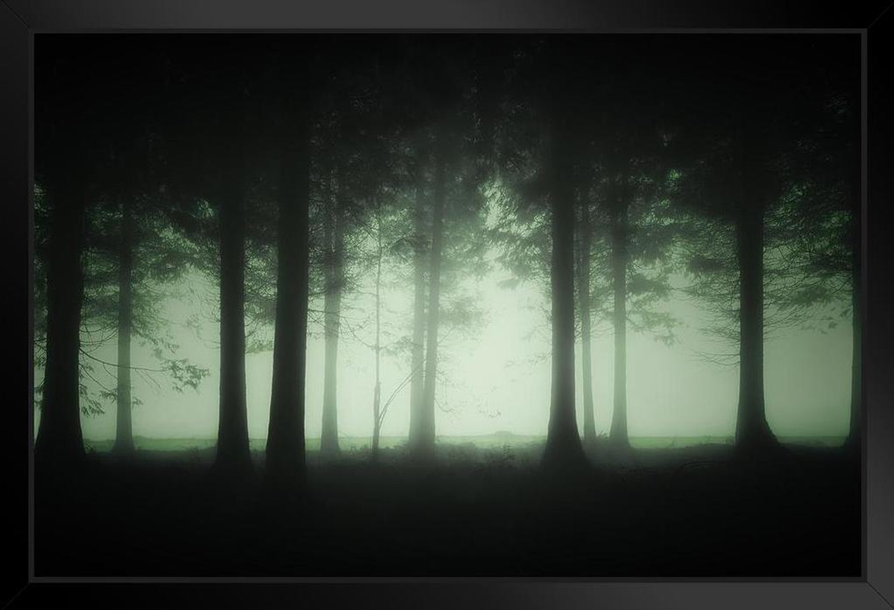 Spooky Forest Background