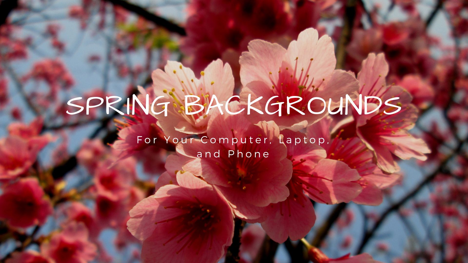 Spring Backgrounds For Computer