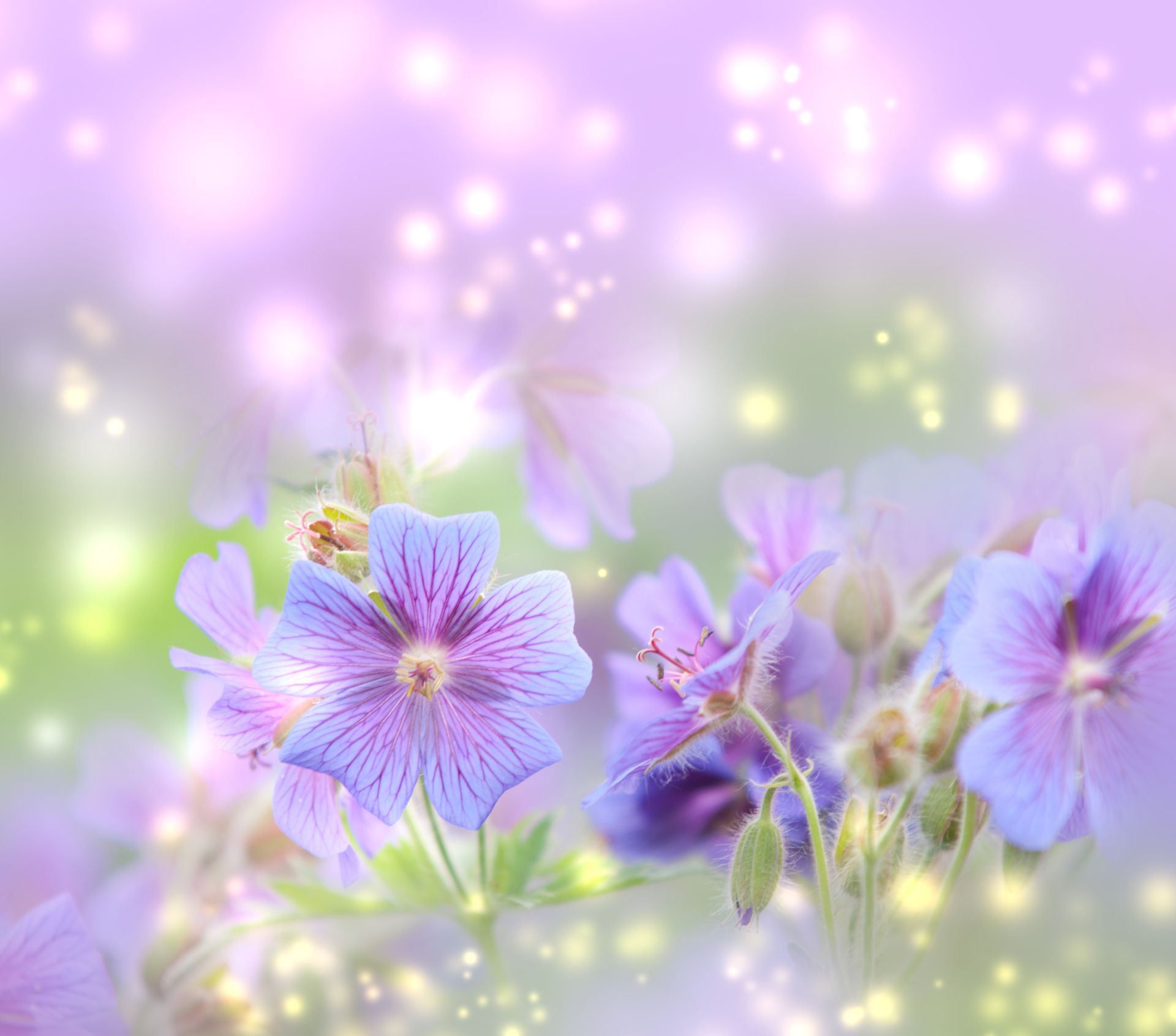 Spring Backgrounds For Computer