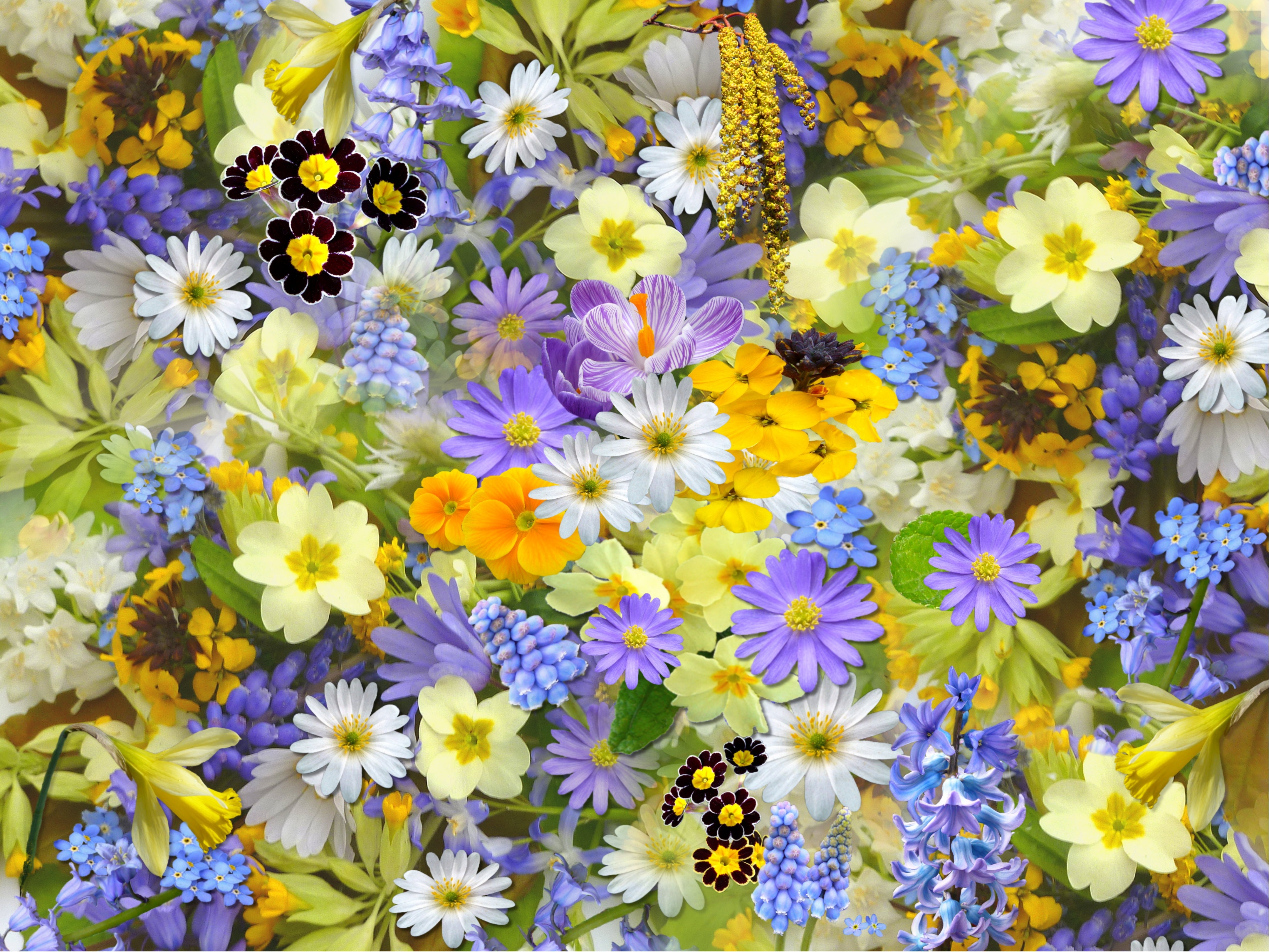 Spring Flowers Background Desktop