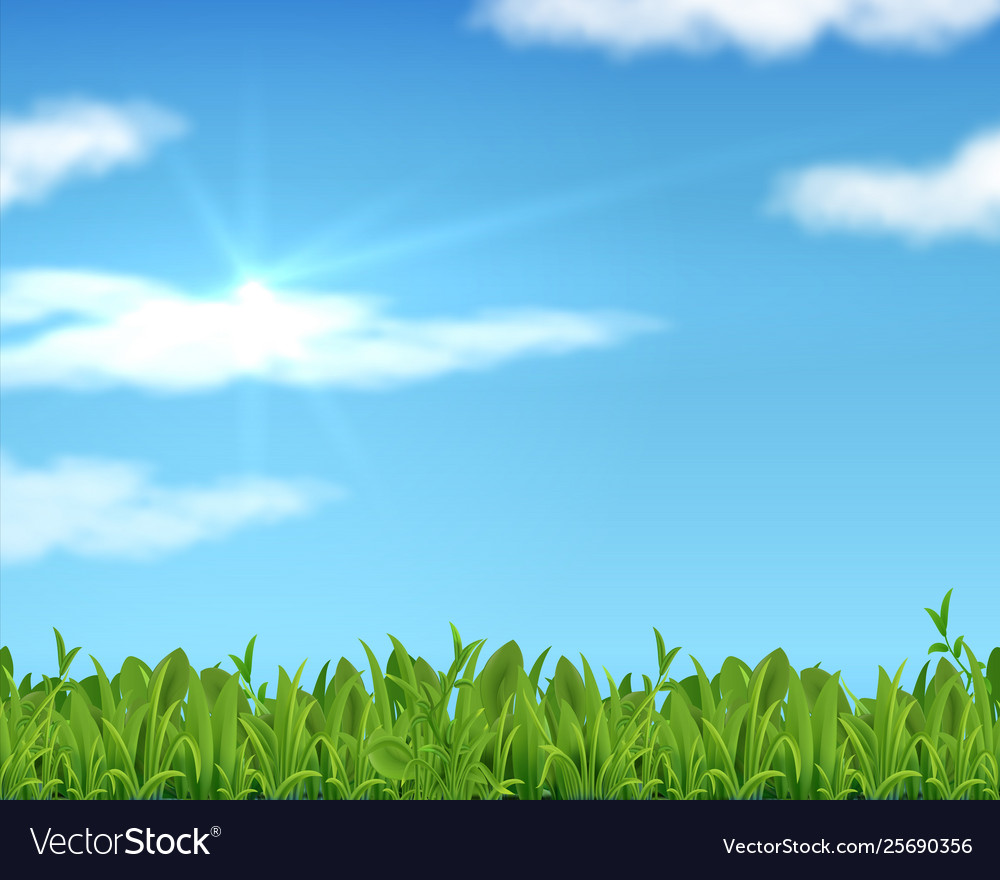 Spring Grass Background