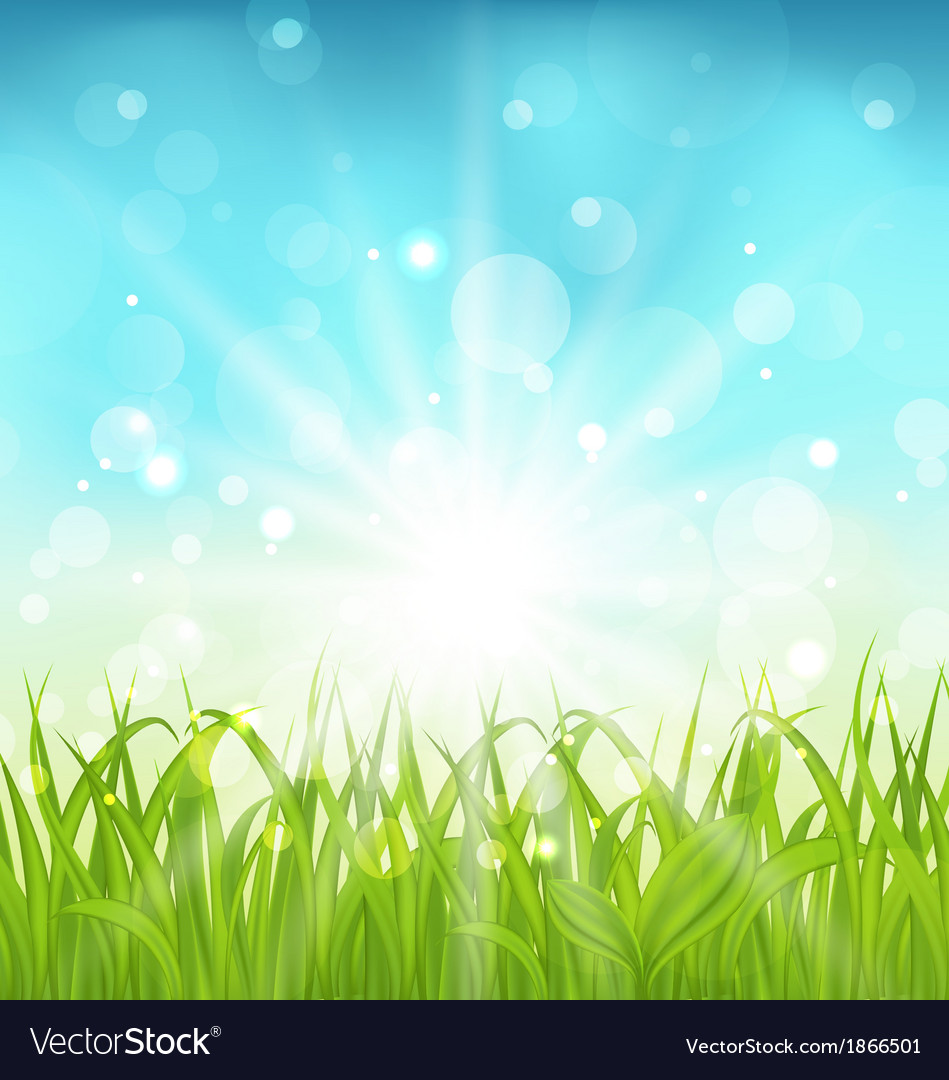 Spring Grass Background