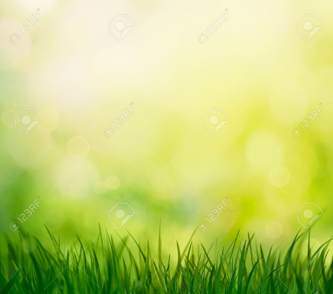 Spring Grass Background