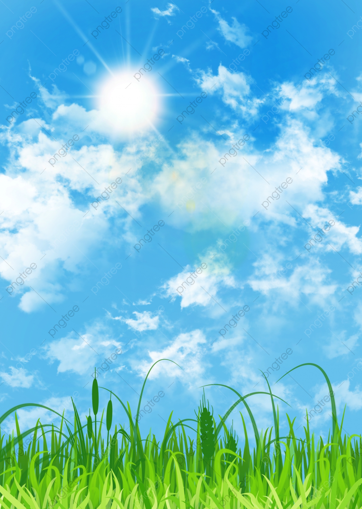 Spring Grass Background