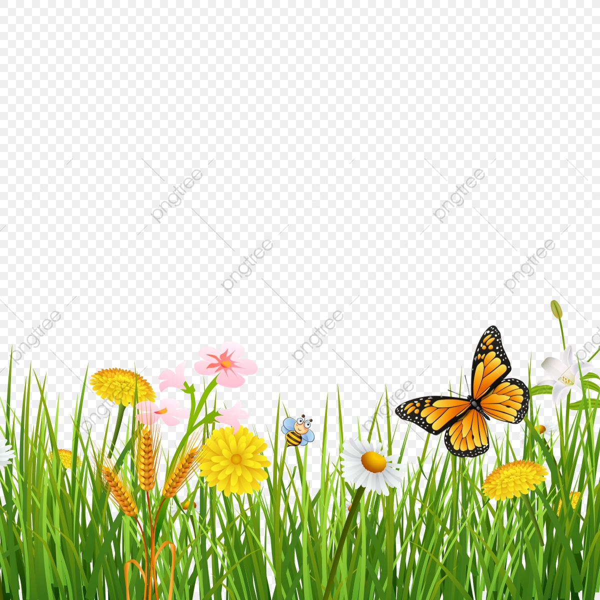 Spring Grass Background