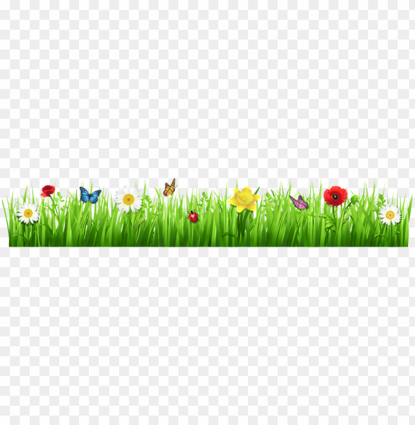 Spring Grass Background