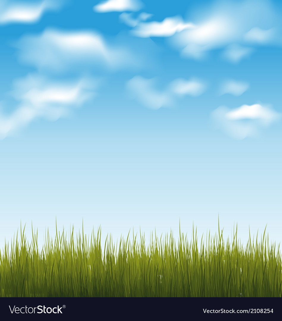 Spring Grass Background