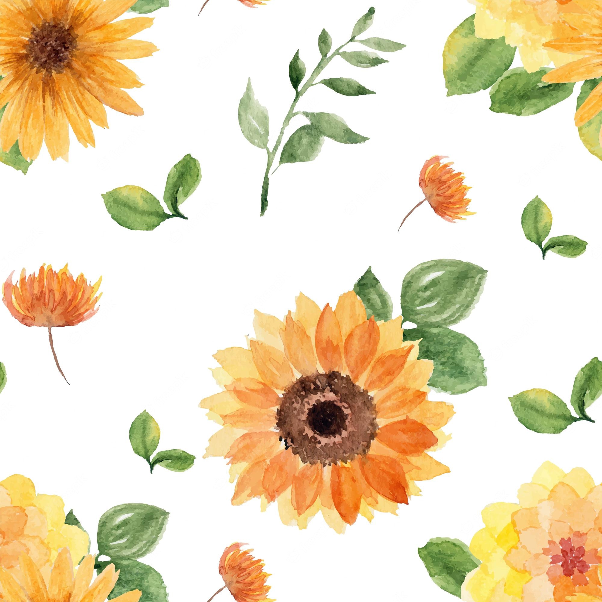 Sunflower Laptop Background