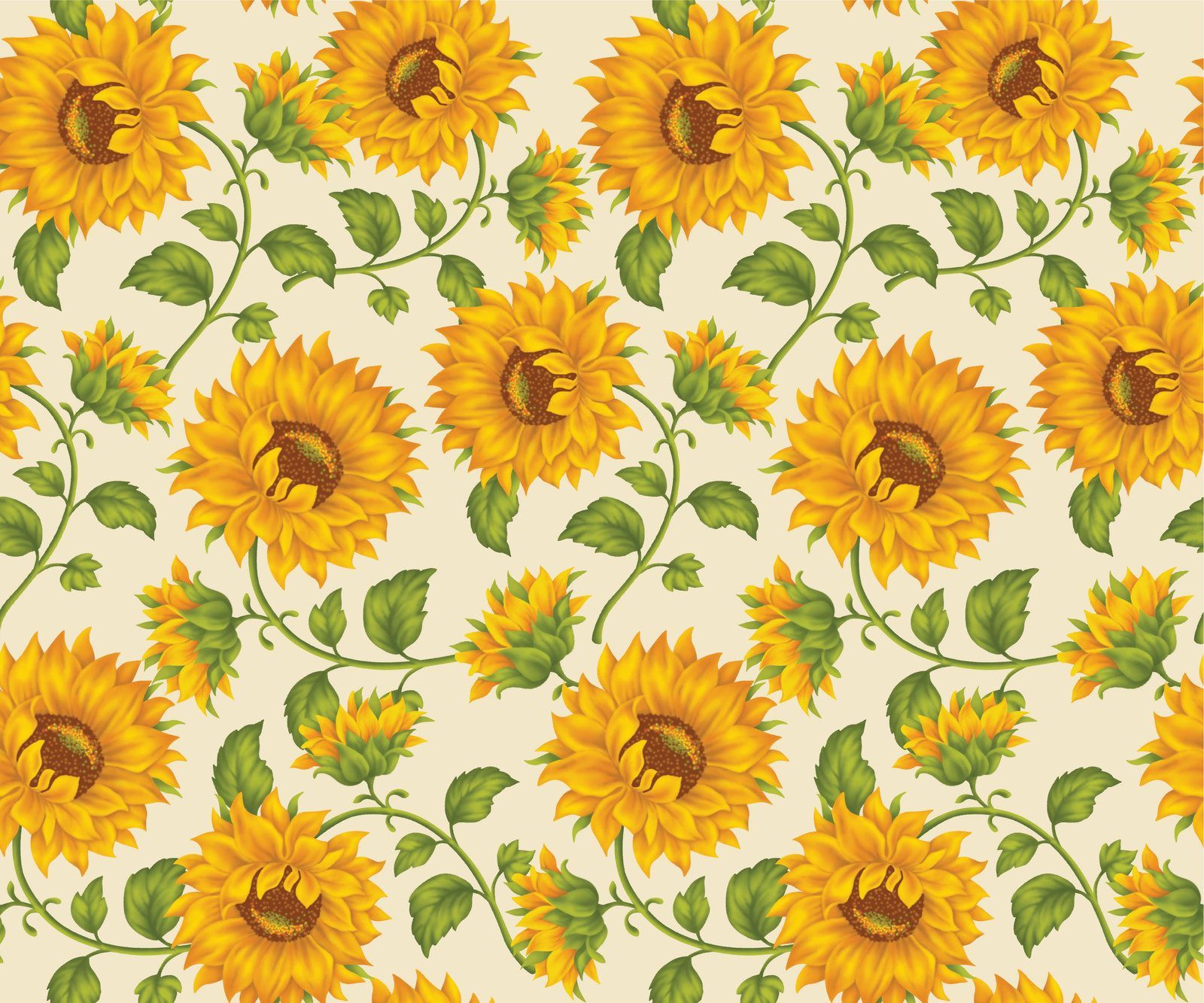 Sunflower Laptop Background