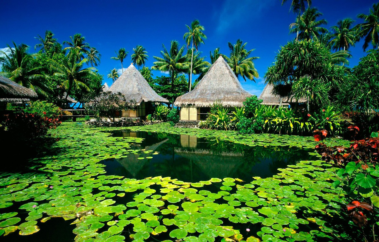 Tahiti Background