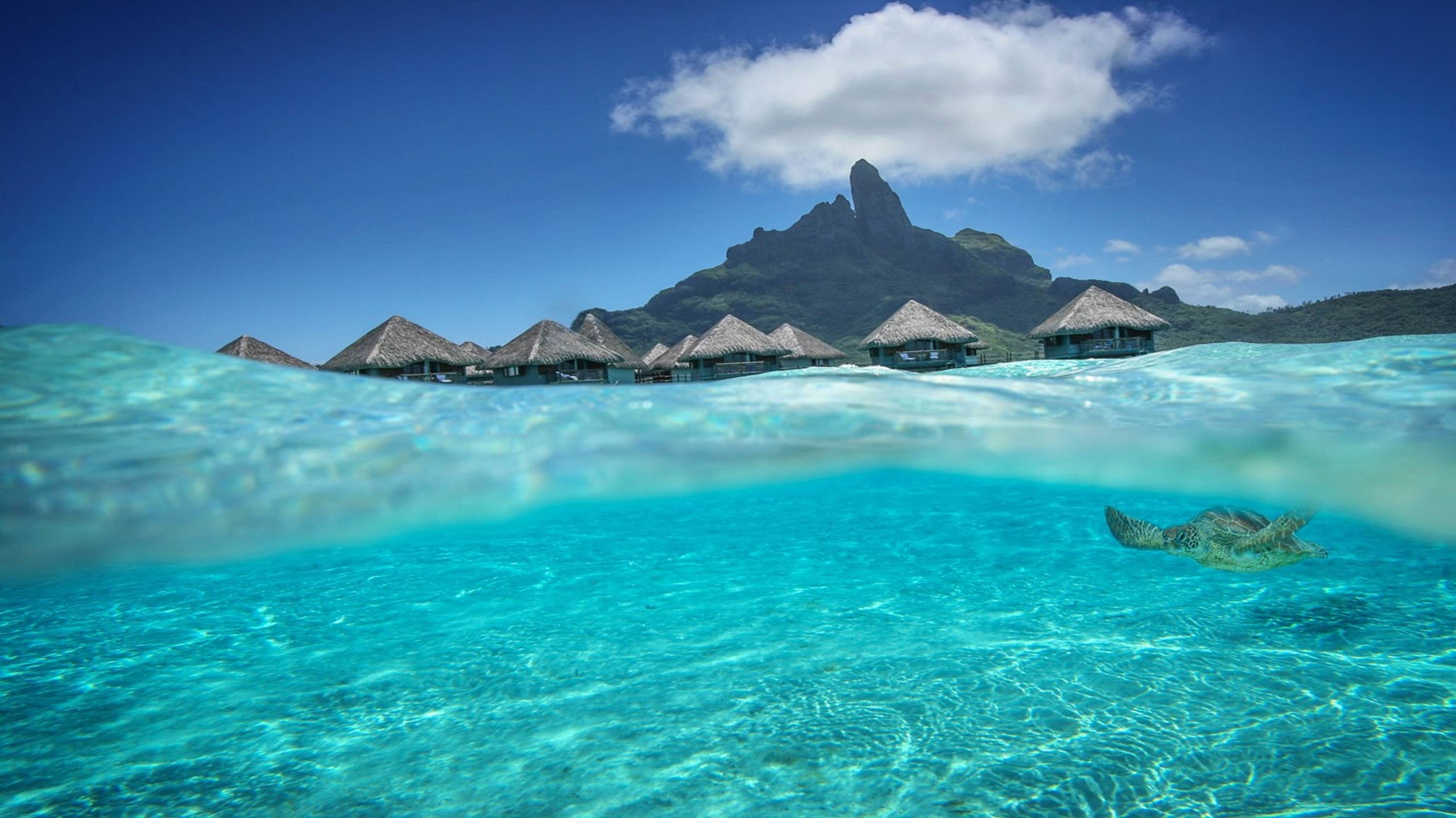 Tahiti Background