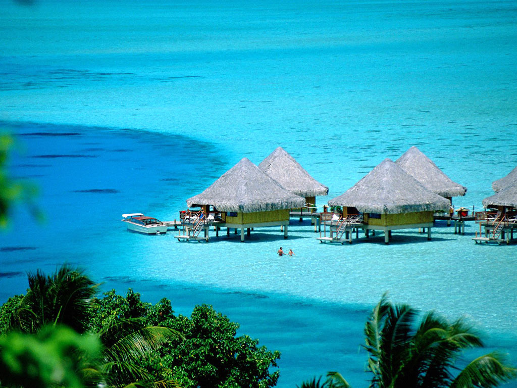 Tahiti Background