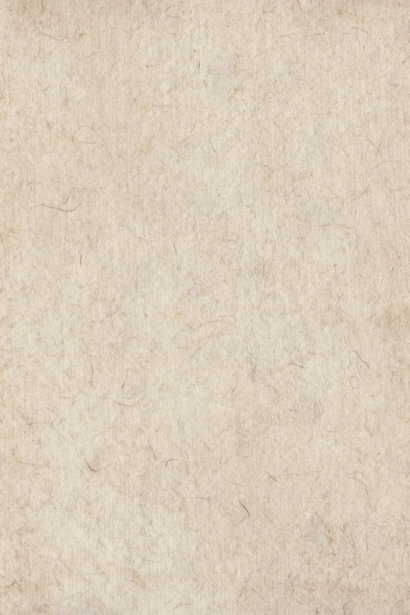 Textured Paper Background