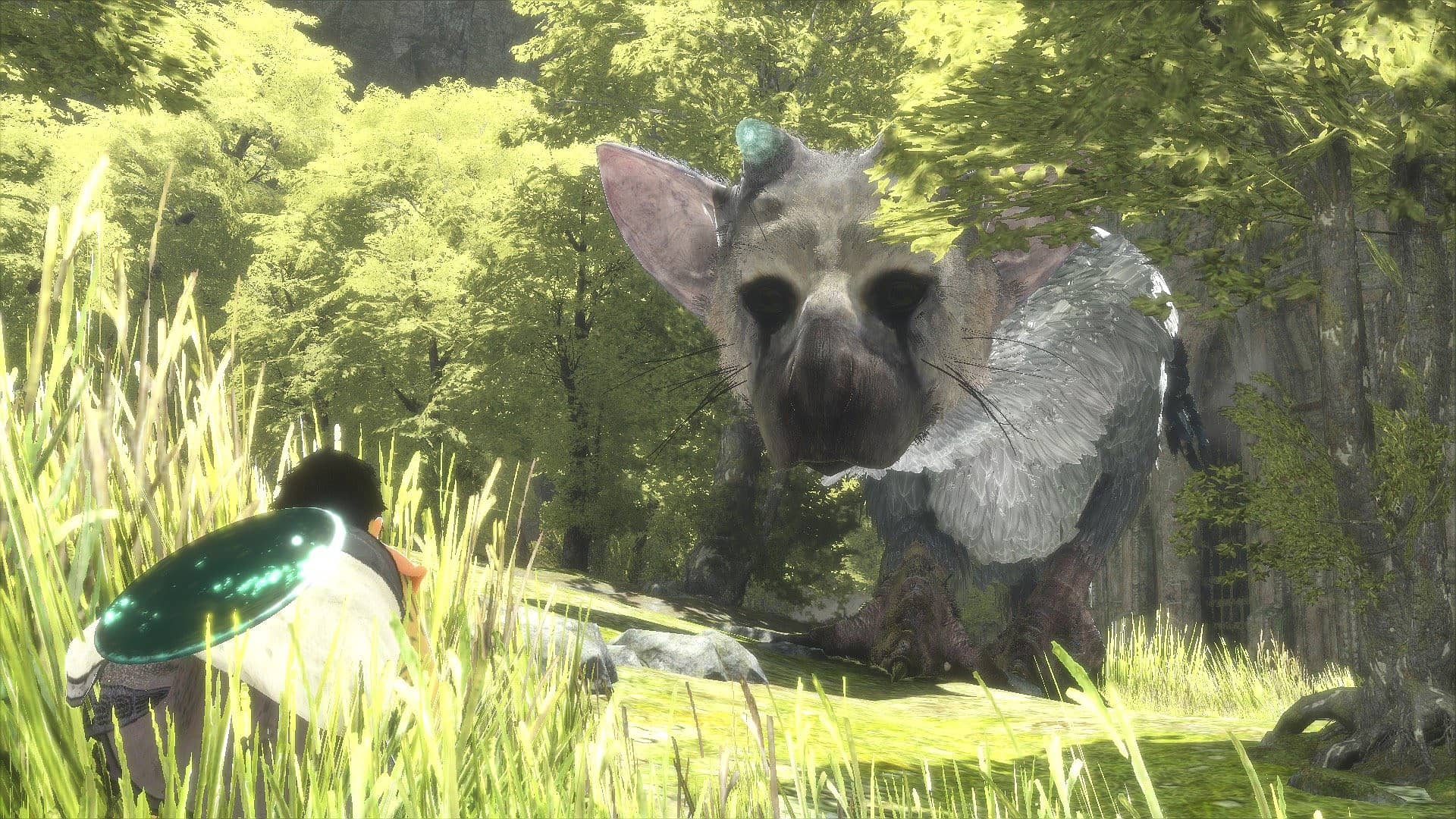 The Last Guardian Background