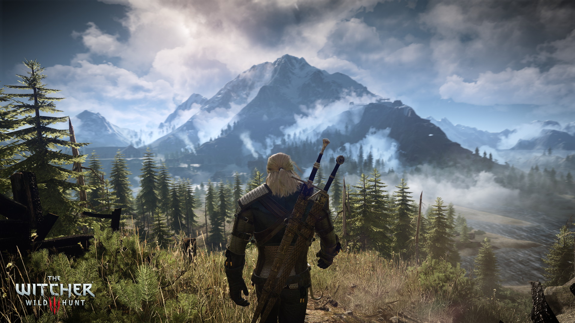 The Witcher 3 Background