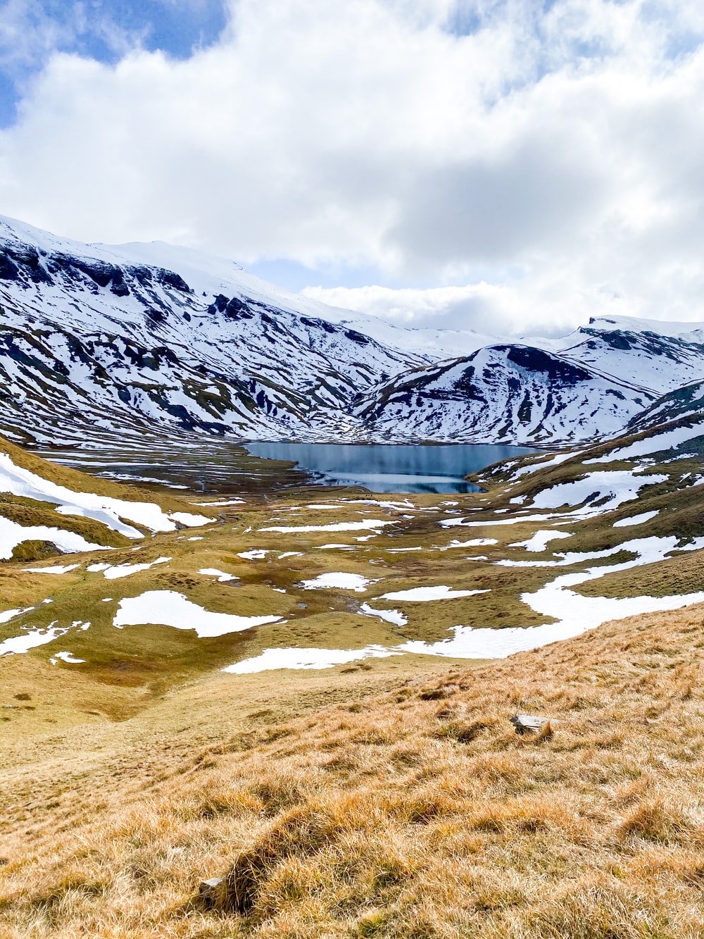 Tundra Backgrounds