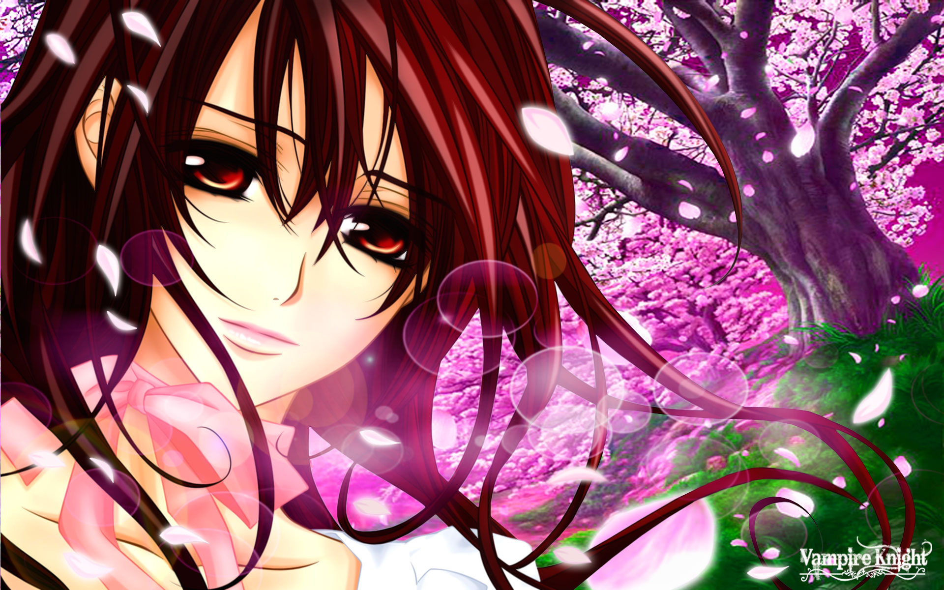 Vampire Knight Backgrounds