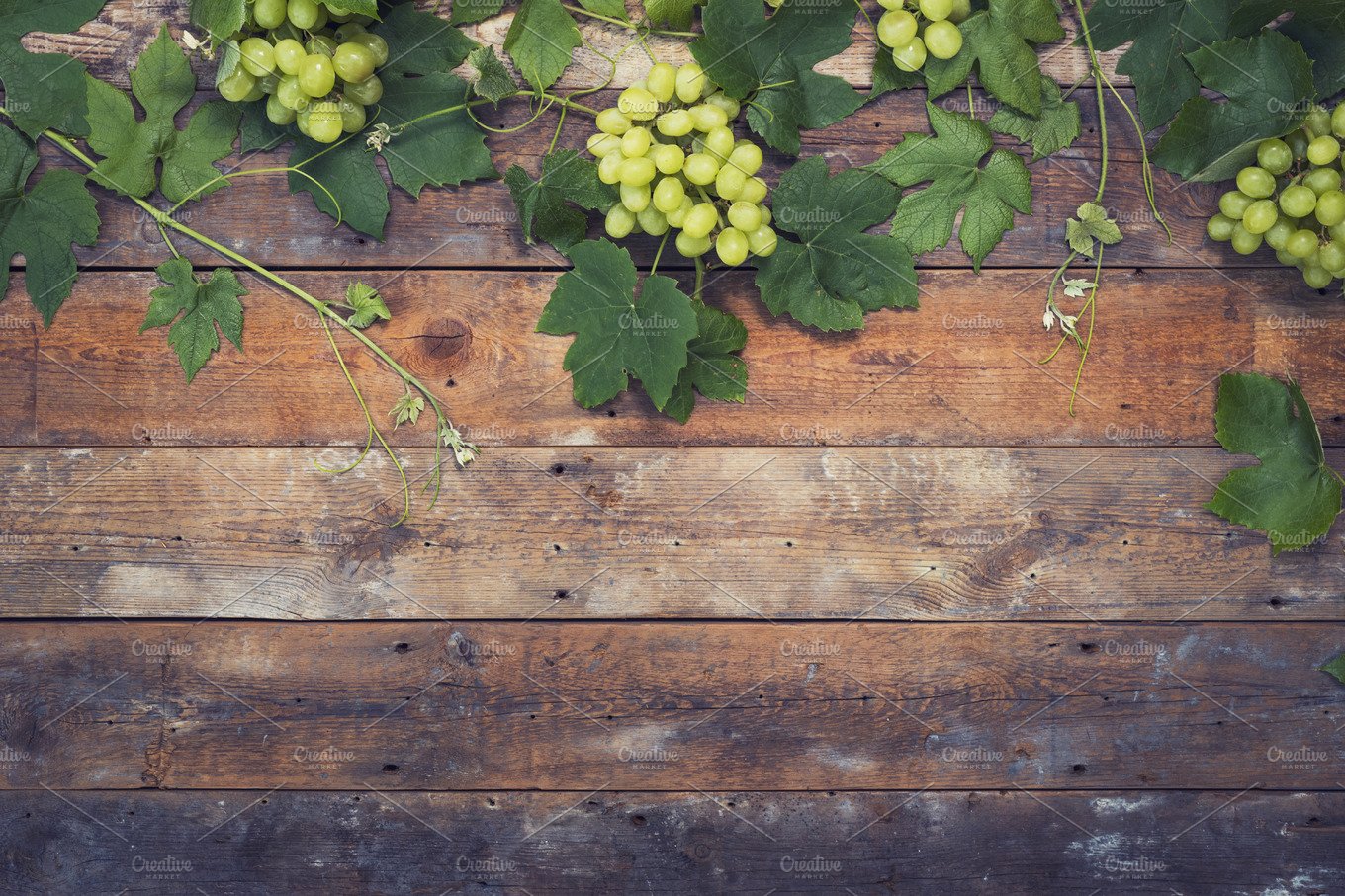 Vineyard Background