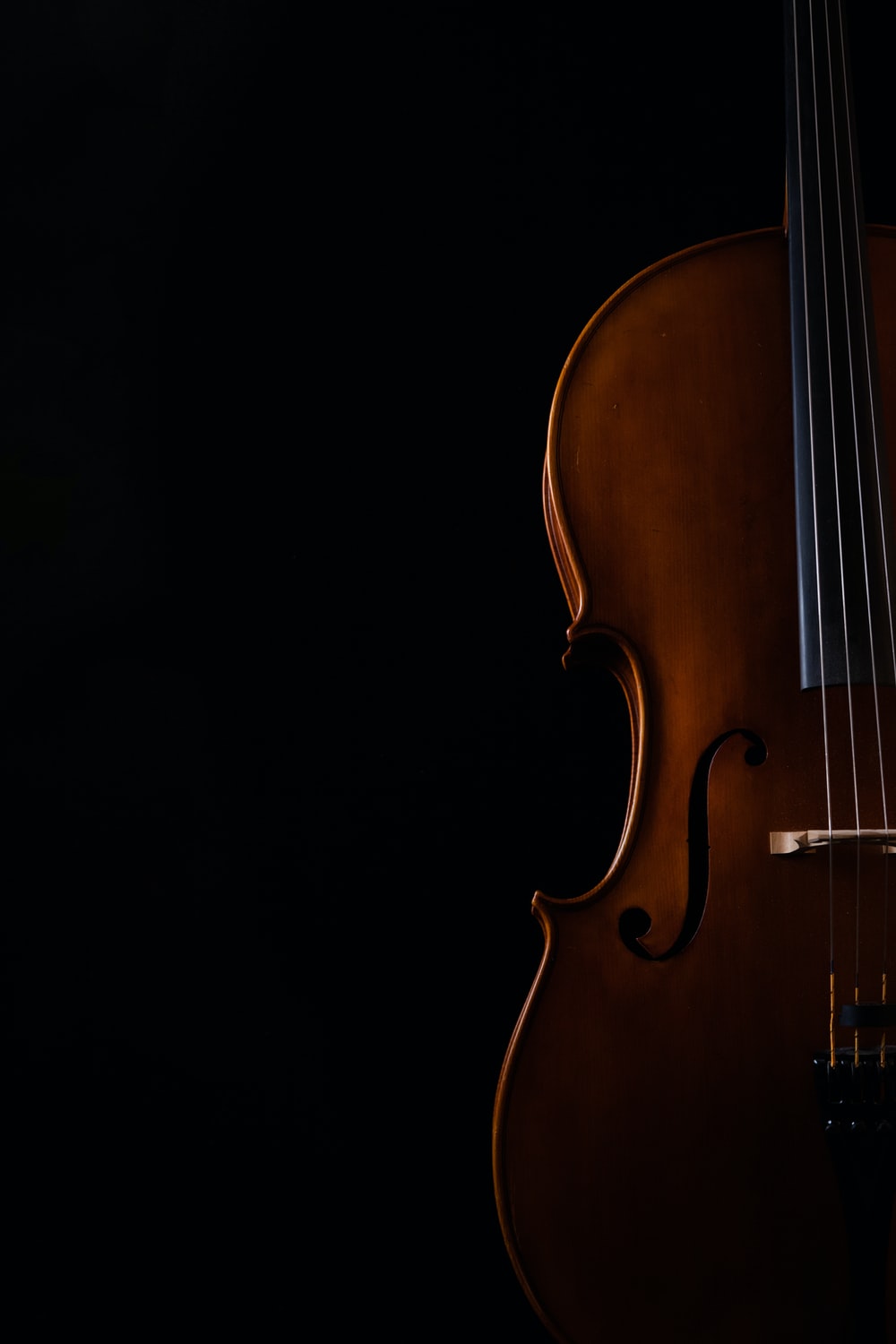 Violin Black Background