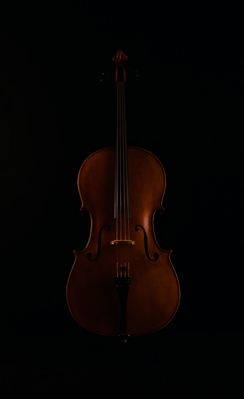 Violin Black Background