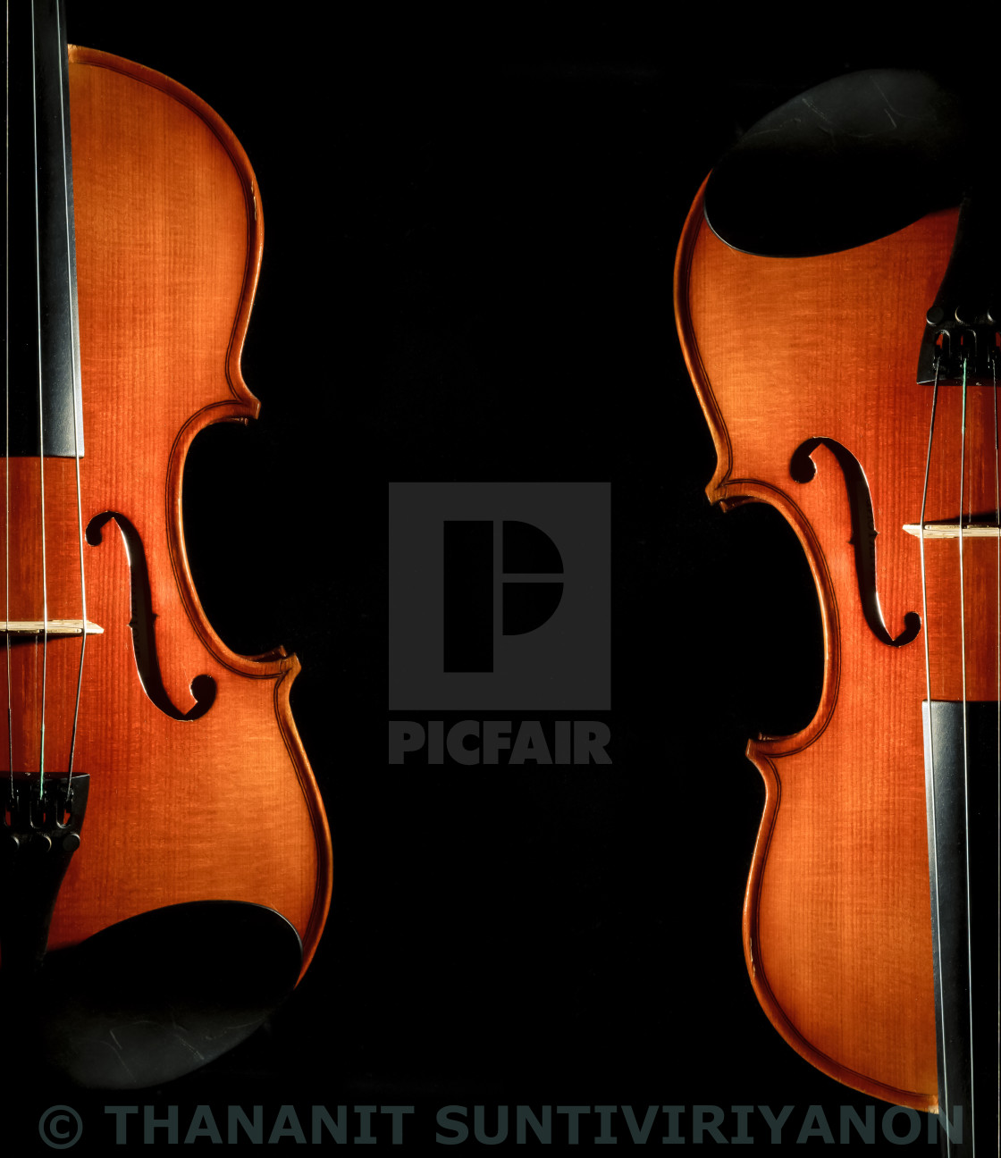 Violin Black Background