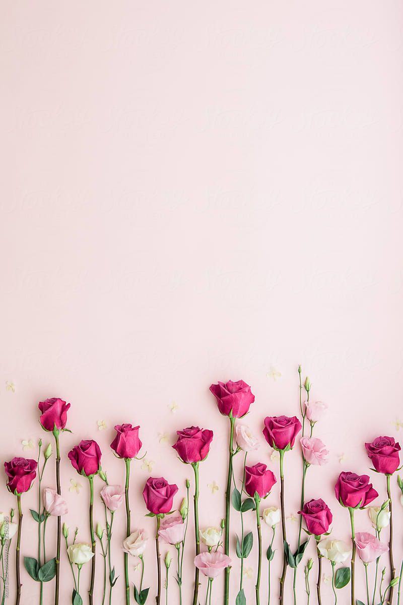 Wallpaper Flower Background