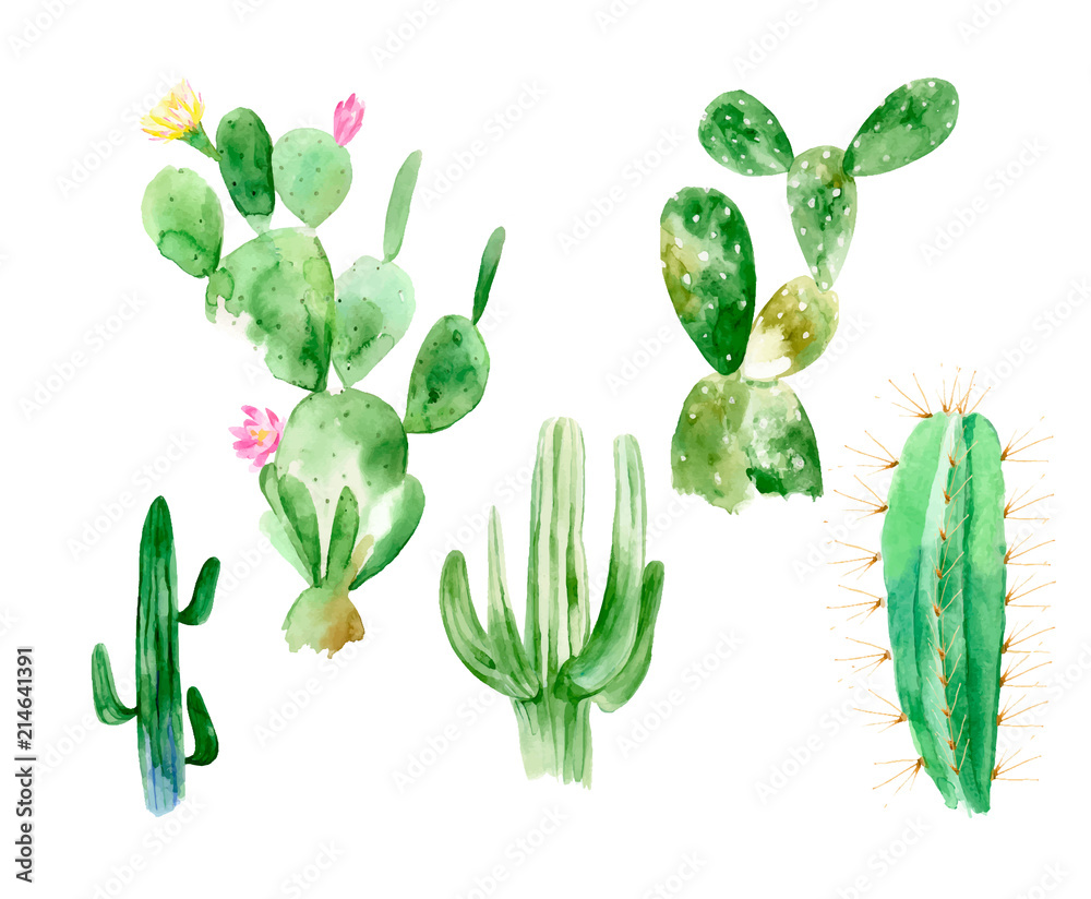 Watercolor Cactus Background