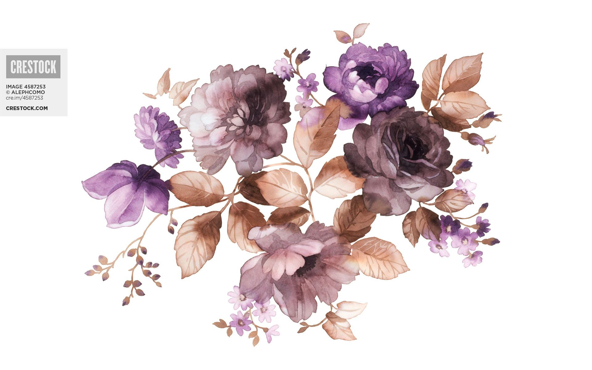 Watercolor Flower Desktop Background