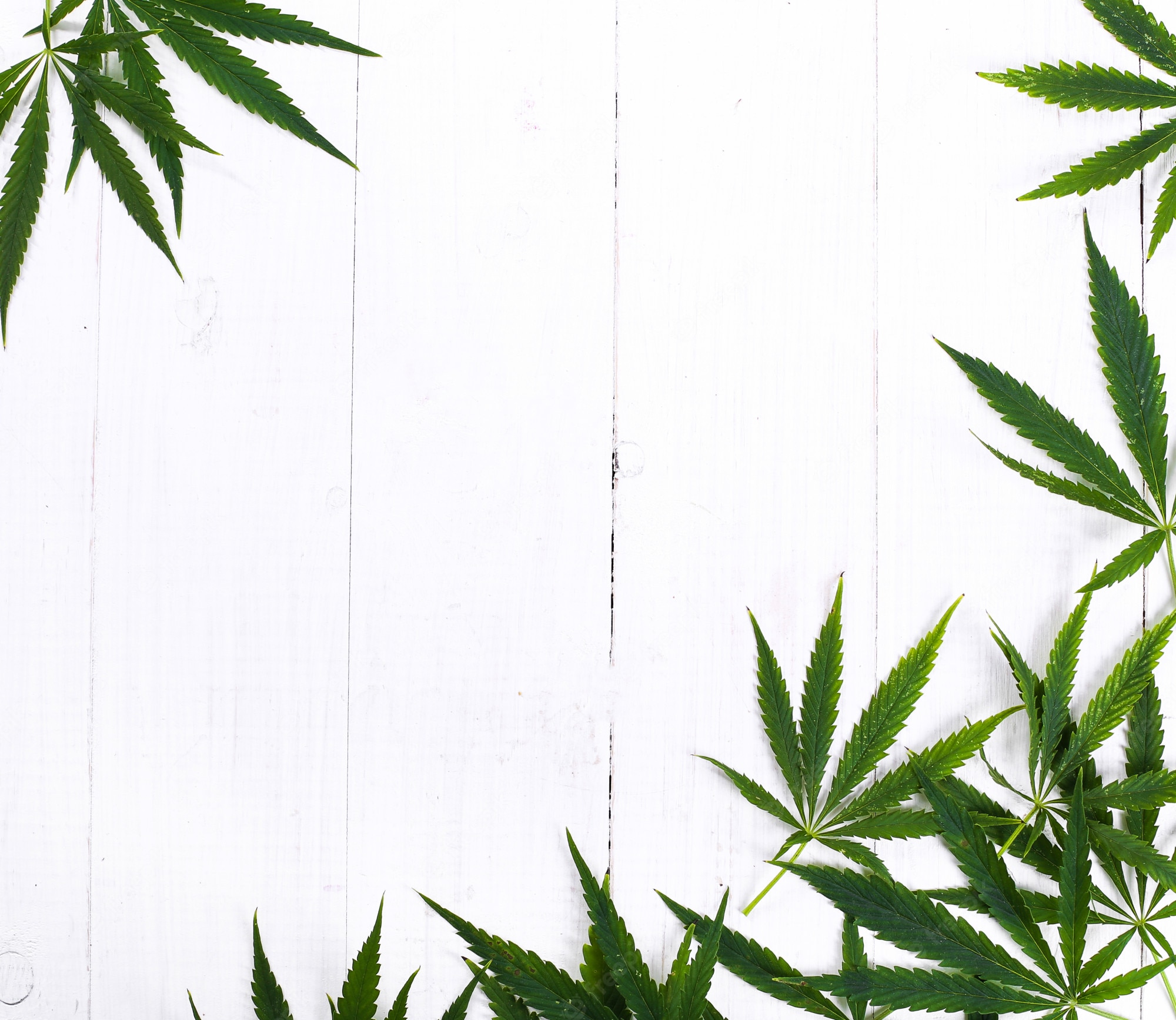 Weed Plants Backgrounds