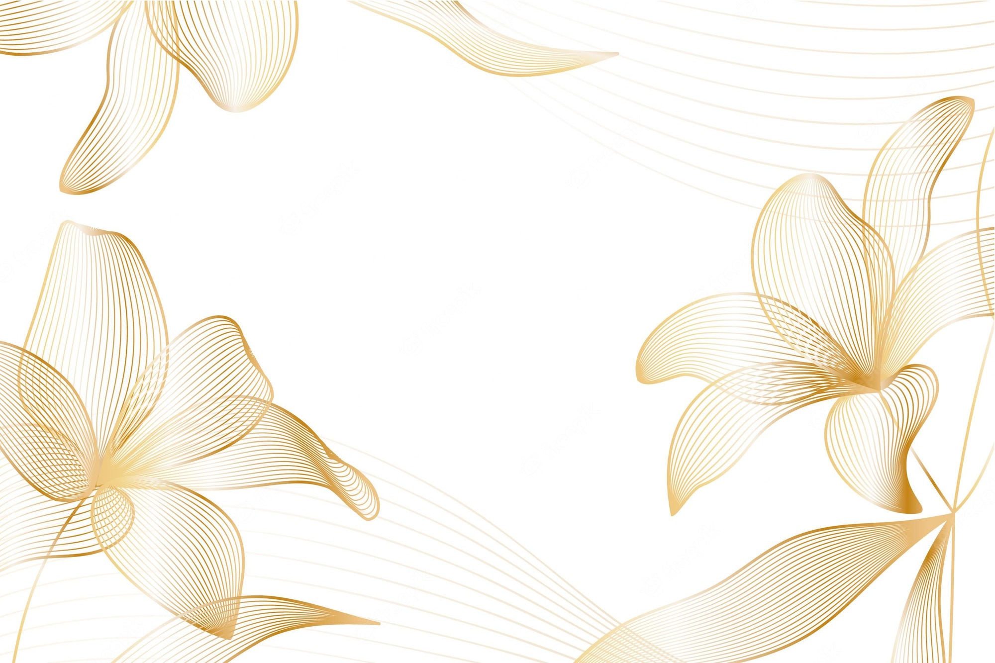 White And Gold Backgrounds