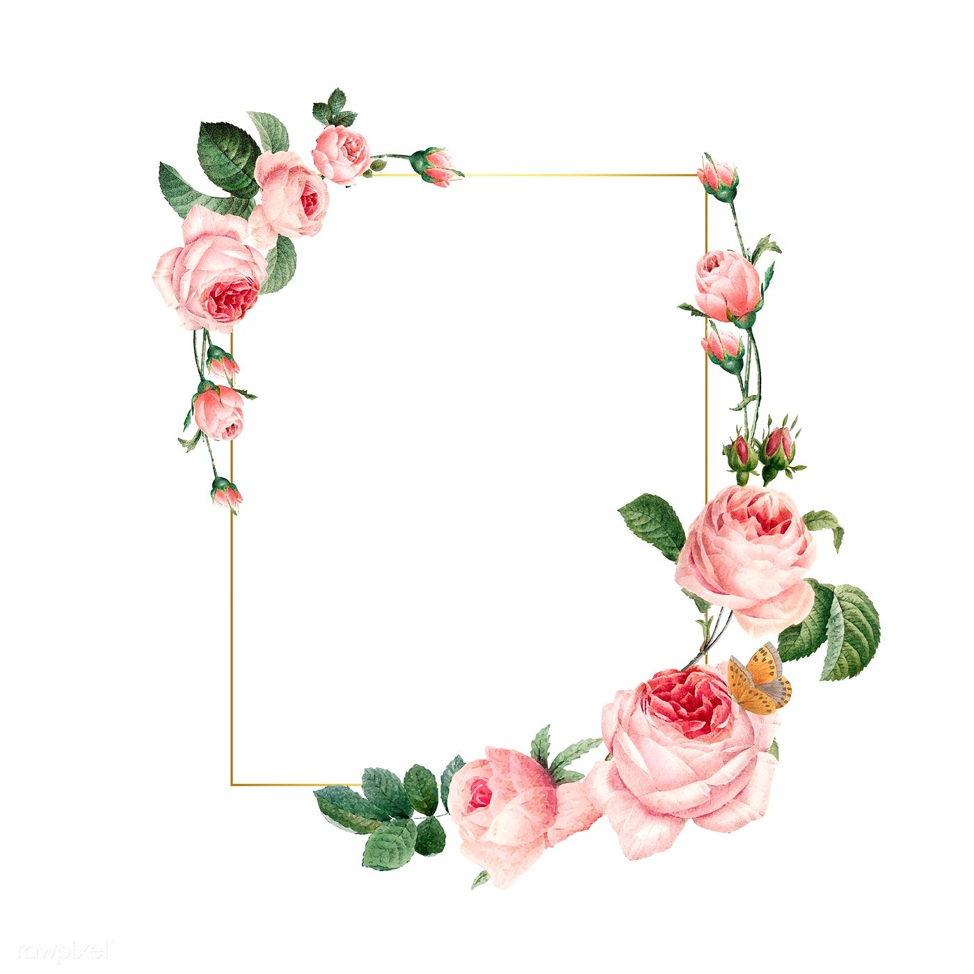 White Background Floral